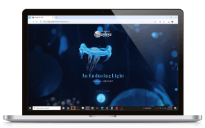 Persona-based <br>Interactive Website